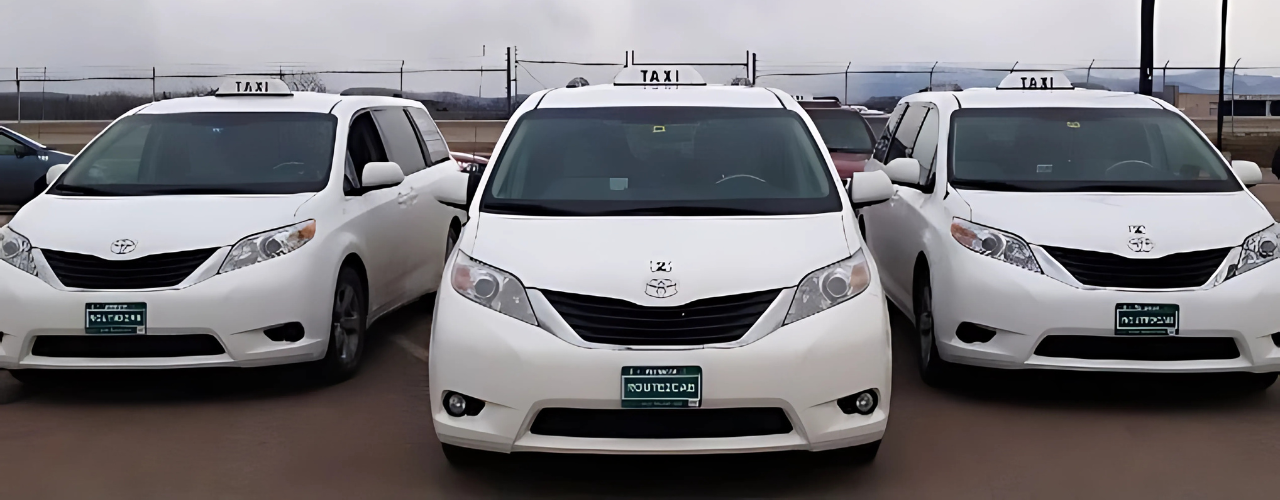 Mississauga to Airport