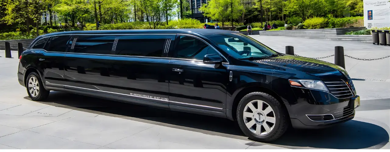 Professional Drivers at Limo Airport Milton